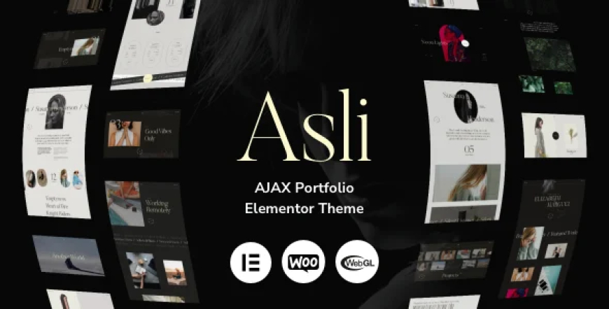 Asli v1.9.4 - AJAX Portfolio Elementor WordPress Theme