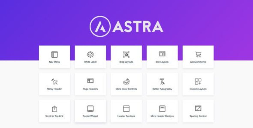 Astra Pro Addon v4.11.7 - WordPress Theme for Any Website