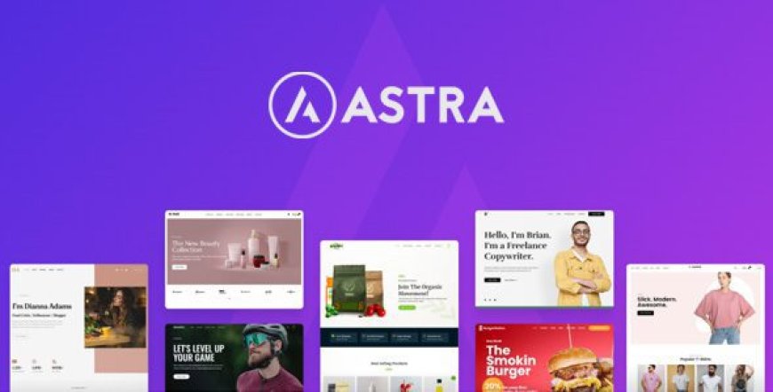 Astra Theme v4.11.9 + Portfolio v1.13.2 - Most Popular WordPress Theme