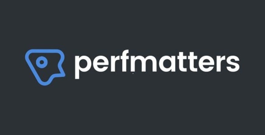 Perfmatters v2.4.9 - Lightweight WordPress Performance Plugin