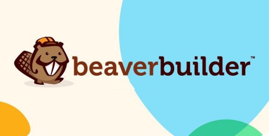 Beaver Builder Pro v2.9.3 - Themer v1.5.1.1 - WordPress Page Builder Plugin
