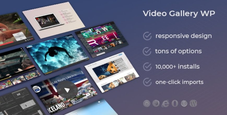DZS Video Gallery v12.29 - WordPress Plugin YouTube, Vimeo, Facebook pages